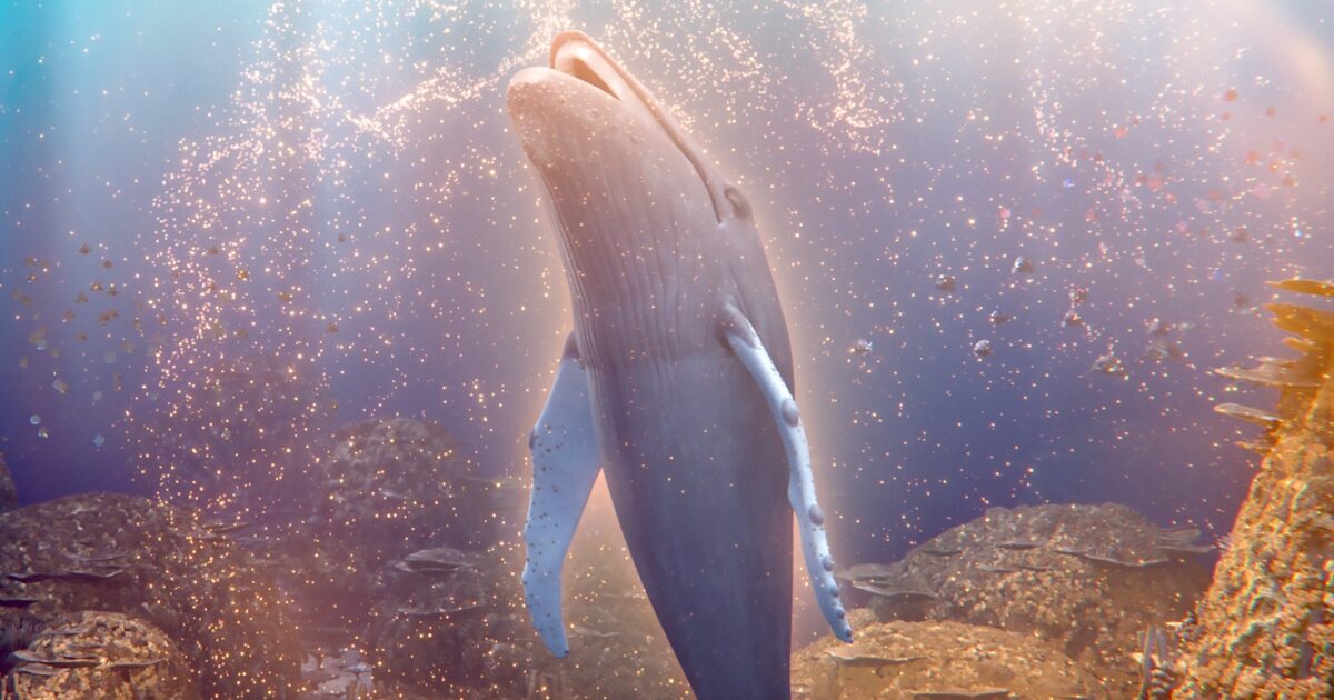 The Last Whale Singer | Cartoon Movie